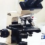 micro