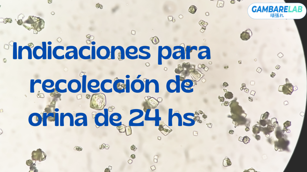 Recolección de Orina 24hs.